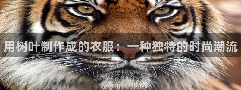 天辰娱乐1996