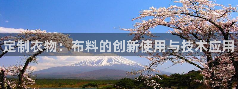 天辰娱乐鱼刺