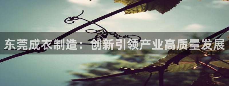 天辰娱乐台湾