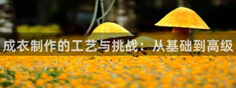 天辰团队贝高娱乐