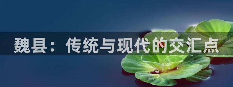 天辰平台娱乐