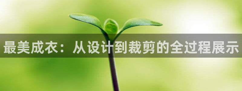 天富娱乐天辰娱乐