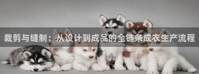 天辰娱乐51137