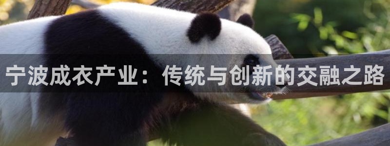 天辰娱乐84566