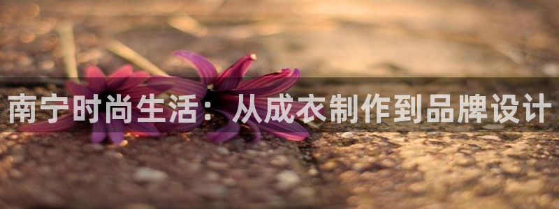 天辰娱乐1966