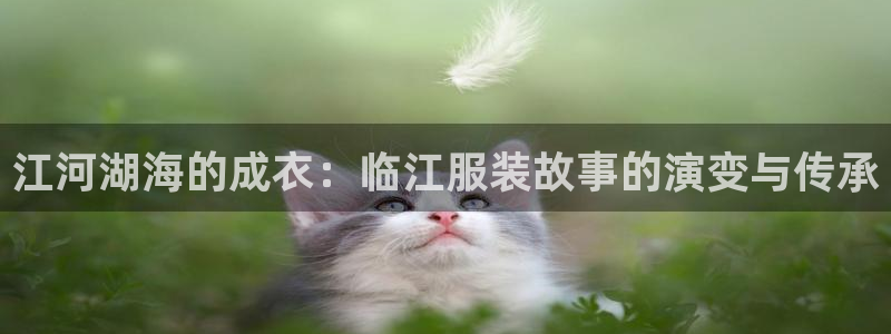 天辰娱乐卡
