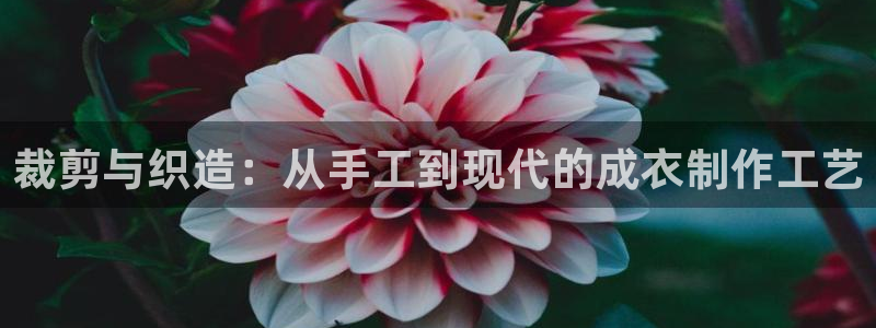 天辰娱乐平台app下载