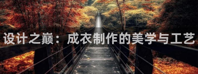 广东天辰娱乐