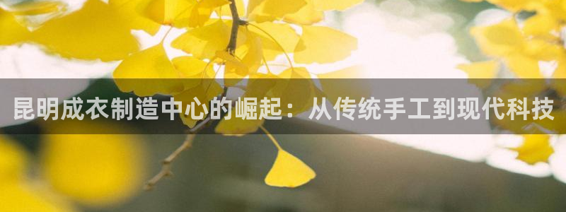 深圳天辰娱乐