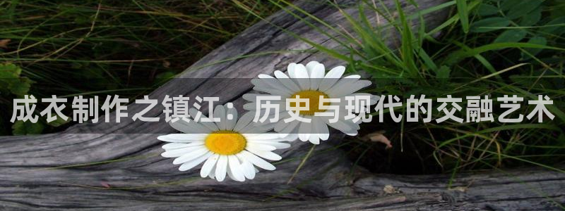 南京天辰娱乐