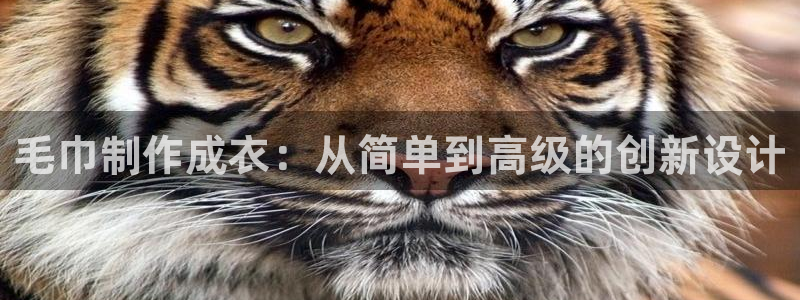 天辰娱乐 . 鱼刺