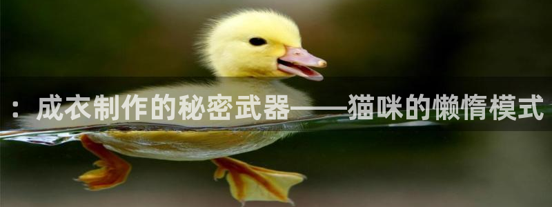 天辰娱乐传媒