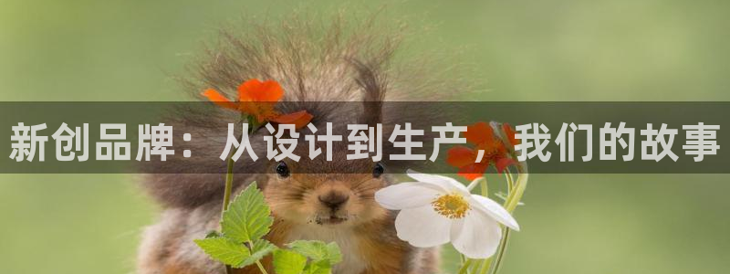 天辰娱乐服务