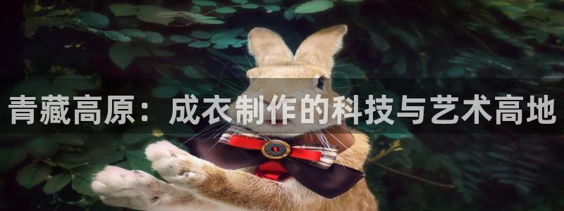 天辰娱乐白屏